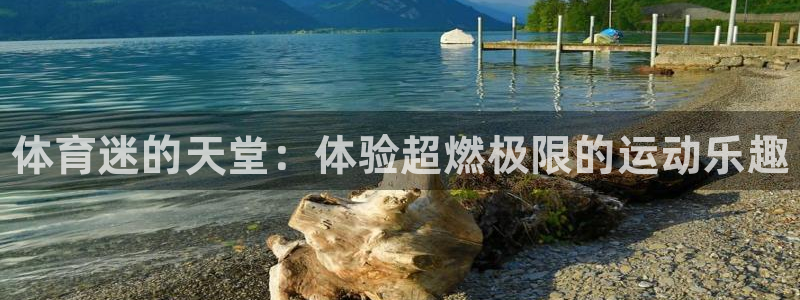 注册利记官方正版app：体育迷的天堂：体验超燃极限的