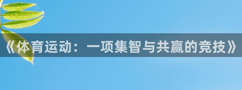 利记官方集团官网：《体育运动：一项集智与共赢的竞技》