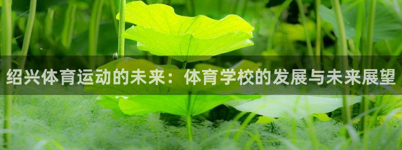 利记官方正版app科技：绍兴体育运动的未来：体育学校