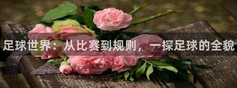 利记官方集团官网：足球世界：从比赛到规则，一探足球的