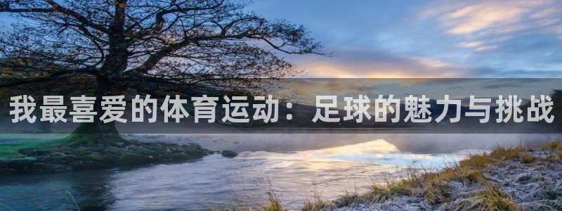 利记官网下载软件：我最喜爱的体育运动：足球的魅力与挑