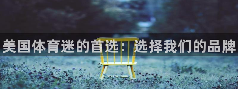 利记官网下载平台注册流程图：美国体育迷的首选：选择我们的品牌