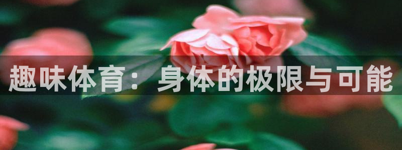 利记官网下载：趣味体育：身体的极限与可能