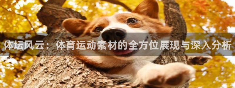 利记官网下载招商电话是多少啊：体坛风云：体育运动素材的全方位