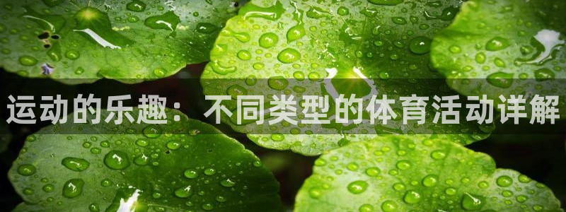 利记官网下载平台是正规平台吗：运动的乐趣：不同类型的