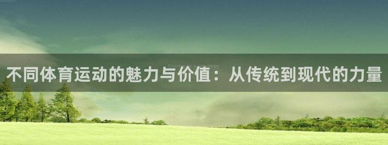 利记官网下载平台注册：不同体育运动的魅力与价值：从传统到现代