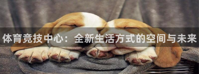 利记官网下载平台是正规平台吗：体育竞技中心：全新生活方式的空