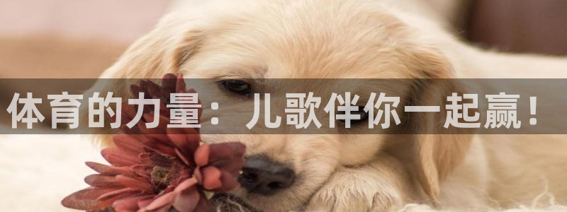 利记官方正版app集团简介：体育的力量：儿歌伴你一起赢！
