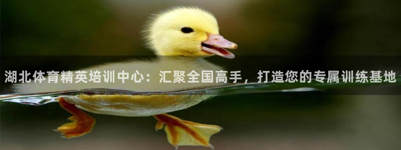 利记官网下载娱乐：湖北体育精英培训中心：汇聚全国高手