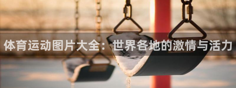 利记官方正版app五金厂：体育运动图片大全：世界各地