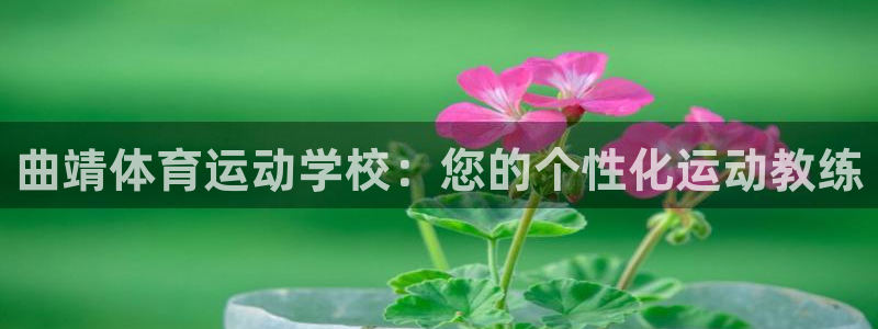 利记官网下载招商电话是多少号码：曲靖体育运动学校：您