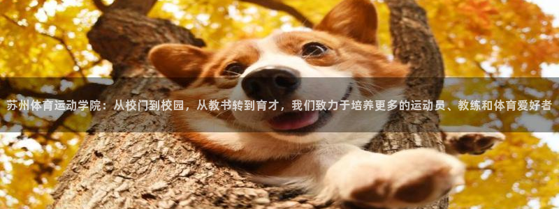 利记官网下载招商电话号码：苏州体育运动学院：从校门到校园，从