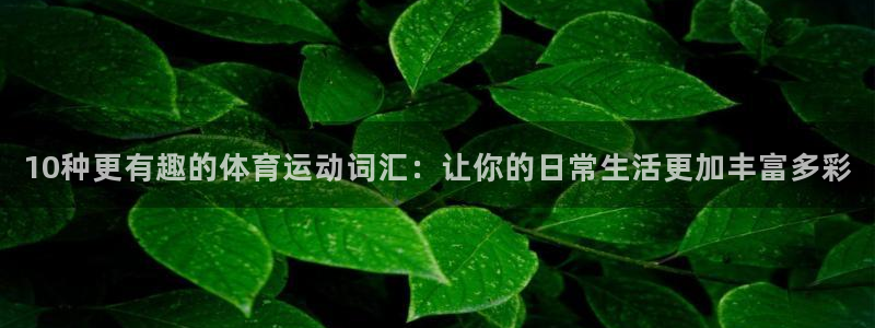 利记官方正版app集团简介