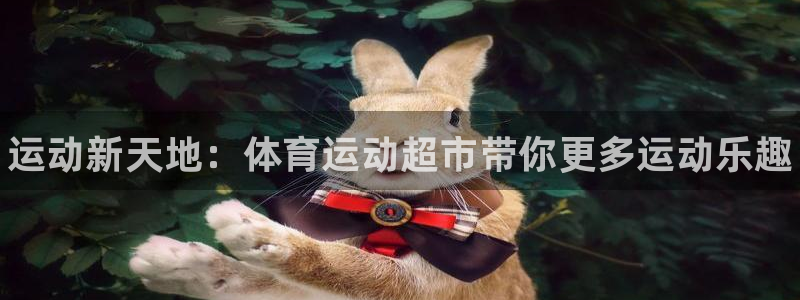 利记官方正版app娱乐：运动新天地：体育运动超市带你更多运动