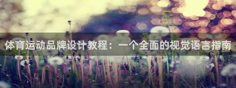 利记官网下载平台注册：体育运动品牌设计教程：一个全面的视觉语