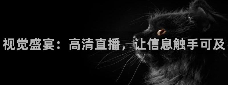 火凤直播体育免费直播：视觉盛宴：高清直播，让信息触手可及