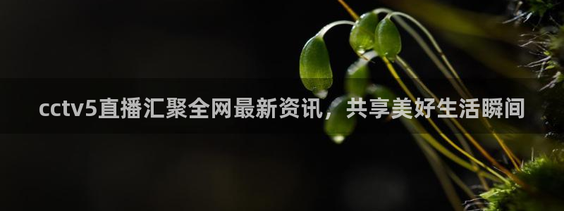 火凤体育直播高清入口：cctv5直播汇聚全网最新资讯，共享美好生活瞬间