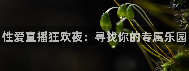 火凤斗球直播体育：性爱直播狂欢夜：寻找你的专属乐园