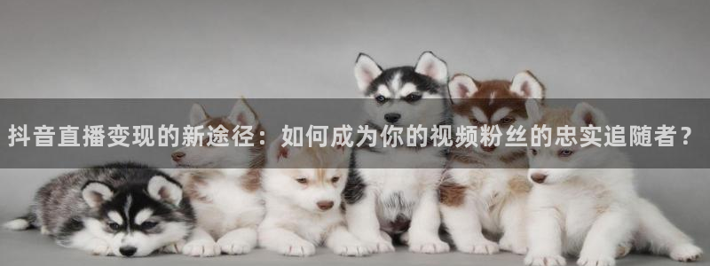火凤体育赛事直播：抖音直播变现的新途径：如何成为你的视频粉丝的忠实追随者？