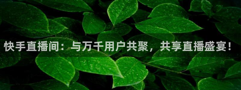 火凤直播nba：快手直播间：与万千用户共聚，共享直播盛宴！