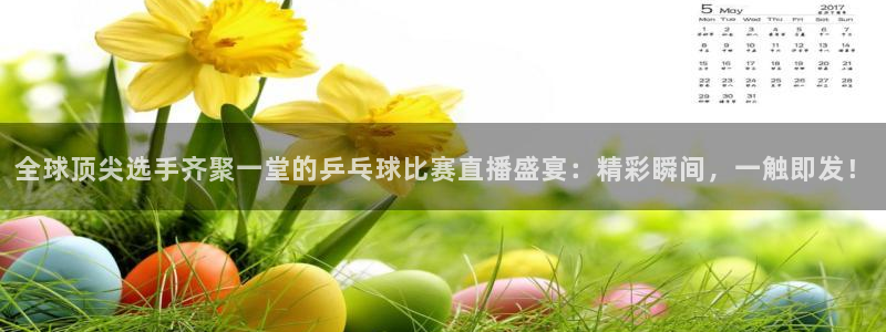 火凤直播体育直播最新赛程：全球顶尖选手齐聚一堂的乒乓球比赛直播盛宴：精彩瞬间，一触即发！