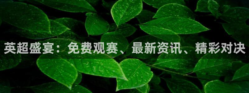 火凤直播五大联赛：英超盛宴：免费观赛、最新资讯、精彩对决