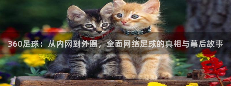 火凤体育直播在线观看高清：360足球：从内网到外圈，全面网络足球的真相与幕后故事