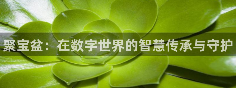 火凤体育直播高清入口：聚宝盆：在数字世界的智慧传承与守护