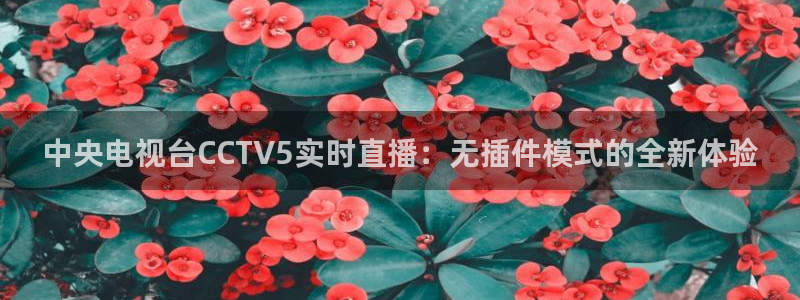 nba直播火凤直播：中央电视台CCTV5实时直播：无插件模式的全新体验