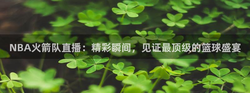 火凤直播：NBA火箭队直播：精彩瞬间，见证最顶级的篮球盛宴